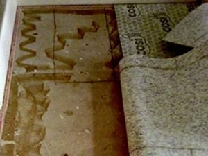 CS1 Carpet