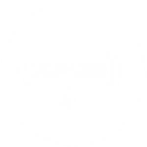 LeakIcon