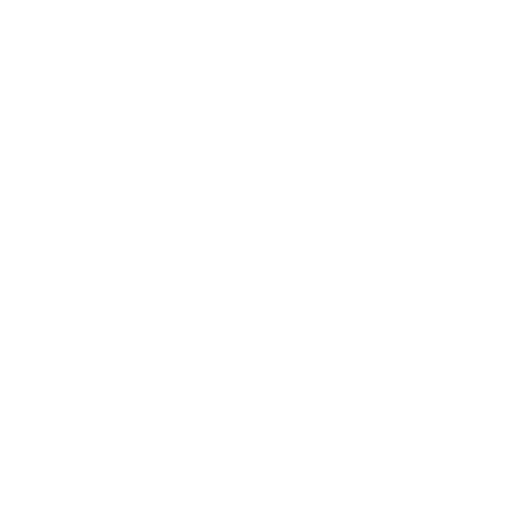 LeakIcon