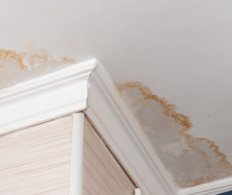Ceiling Leak Detection Domestic & Commercial Leak Detection
