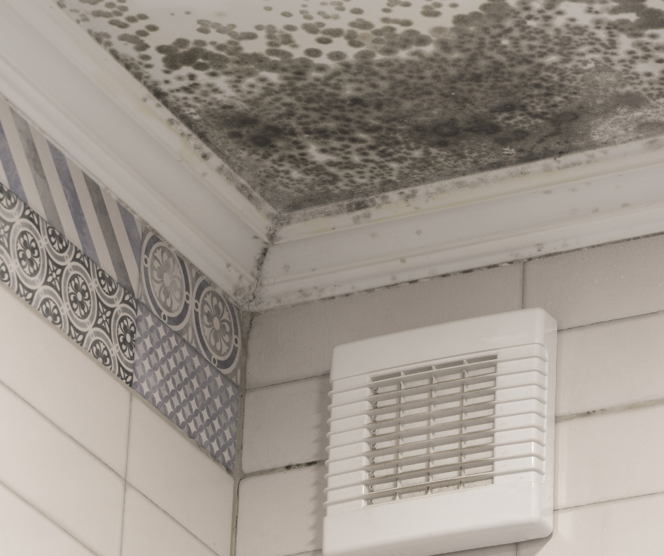 mildew mildew