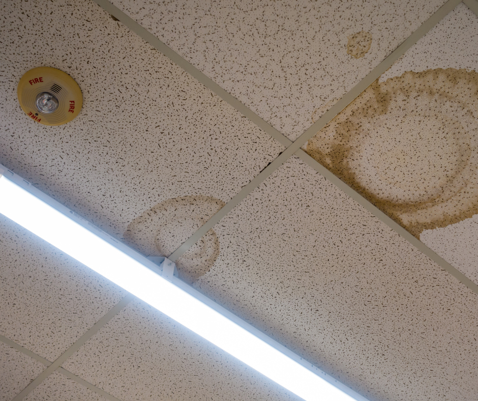 water spots water spots